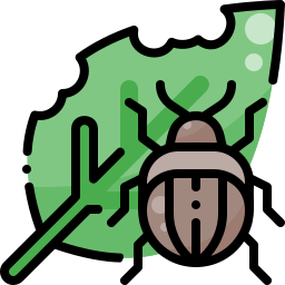 Pest Risk Analysis